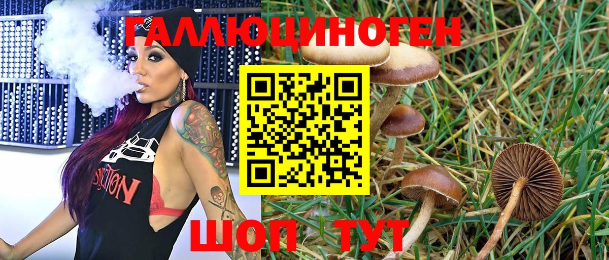 Псилоцибиновые грибы GOLDEN TEACHER  Псилоцибиновые грибы мицелий  Кострома  Вход с VPN 