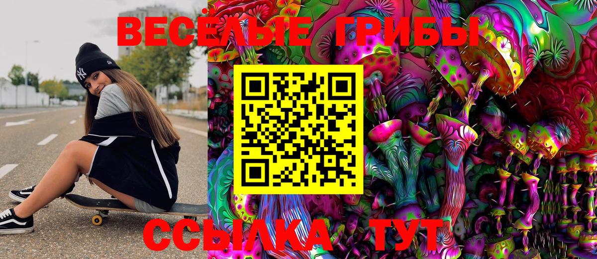 Галлюциногенные грибы Psilocybe Кострома